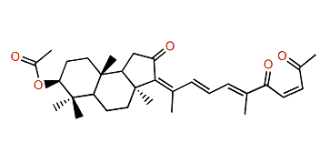 Isogeoditin B